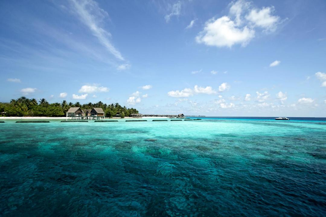 Photo of Others in Moofushi Island