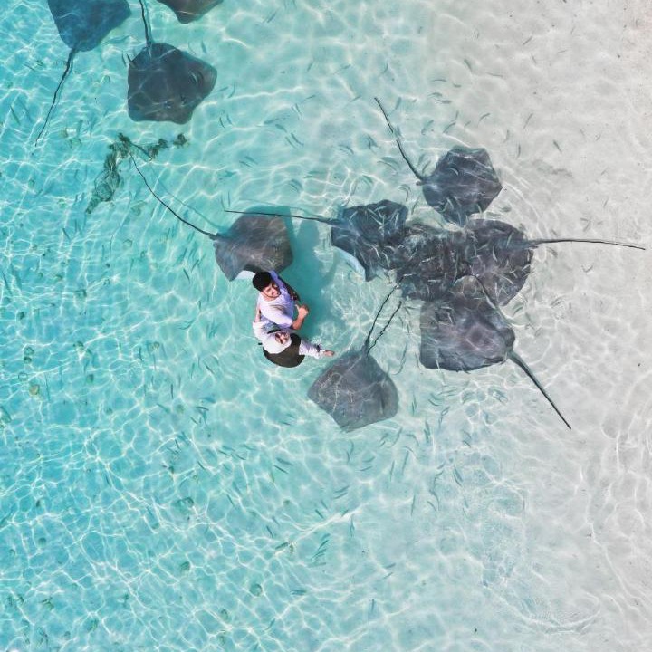 Photo of Others in Maafushi
