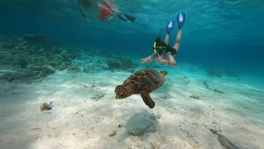Photo of Others in Maafushi