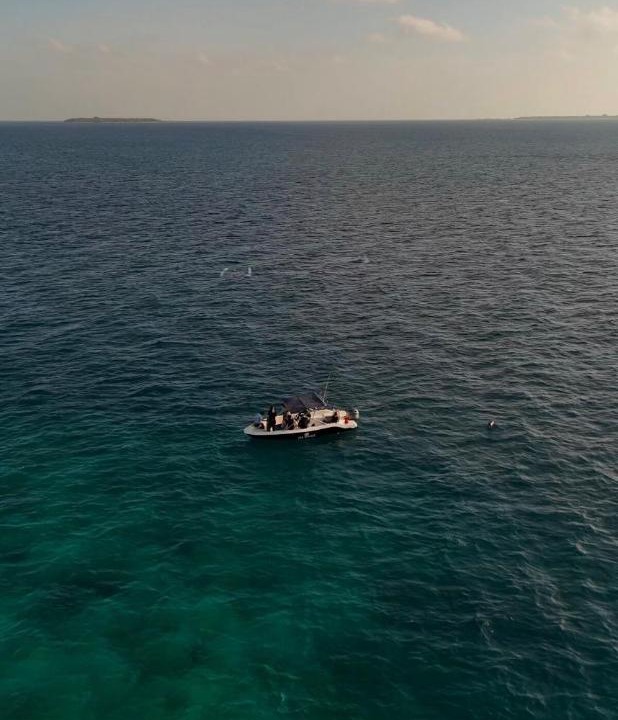 Photo of Others in Dharavandhoo