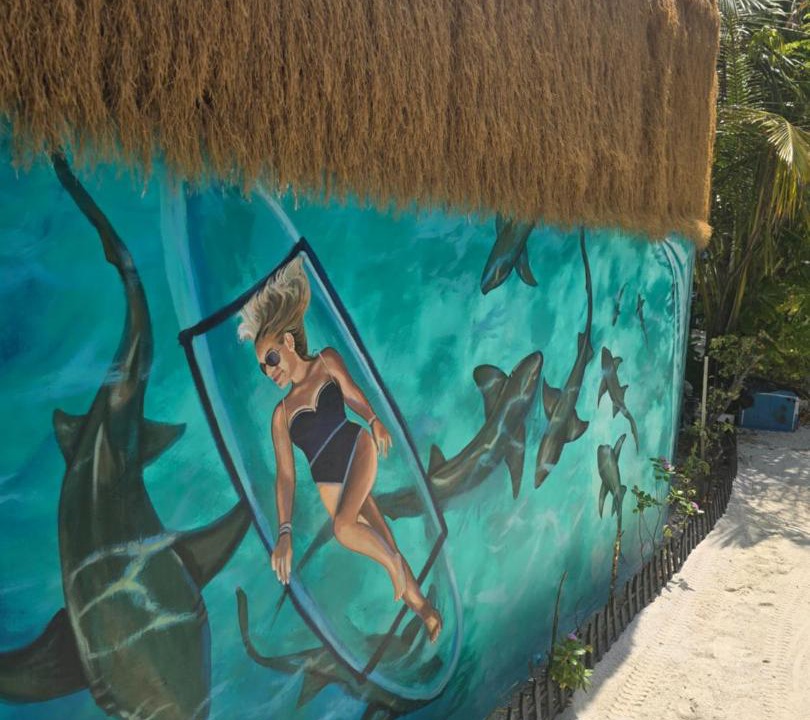 Photo of Others in Dhiffushi