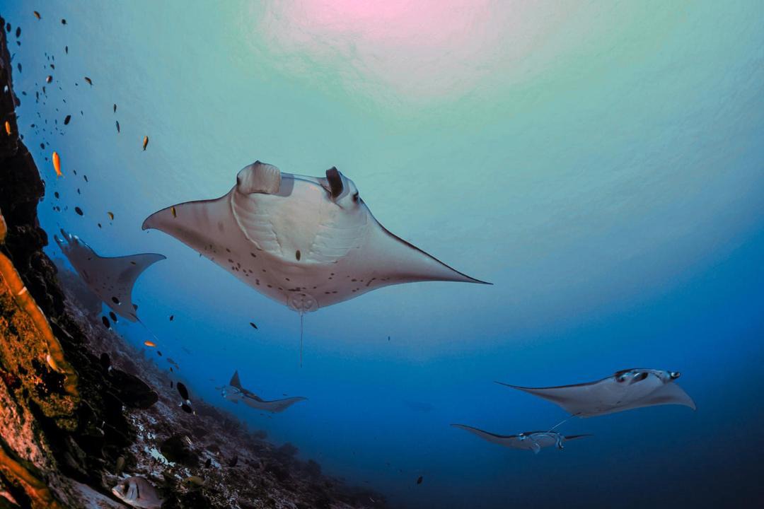 Photo of Others in Hulhudhoo