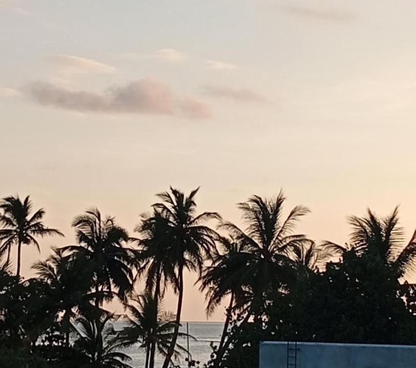 Photo of Others in Dhiffushi
