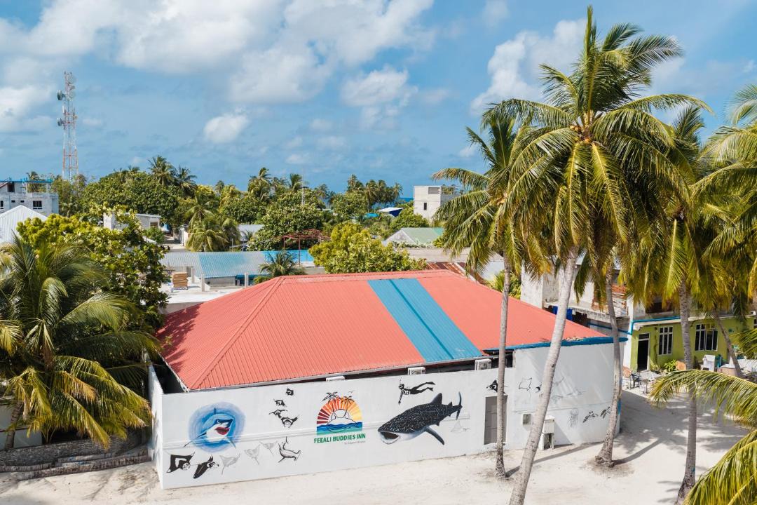 Photo of Others in Dhidhoofinolhu Island