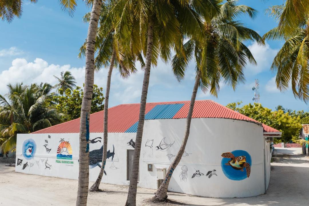 Photo of Others in Dhidhoofinolhu Island