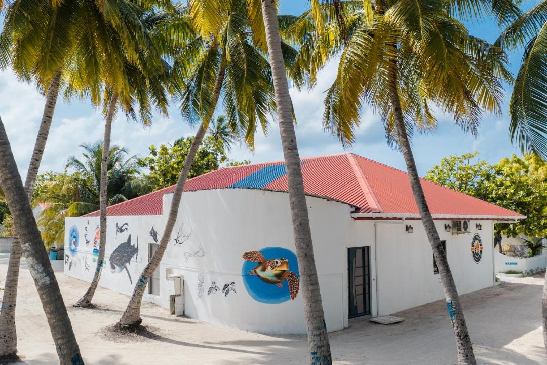 Photo of Others in Dhidhoofinolhu Island