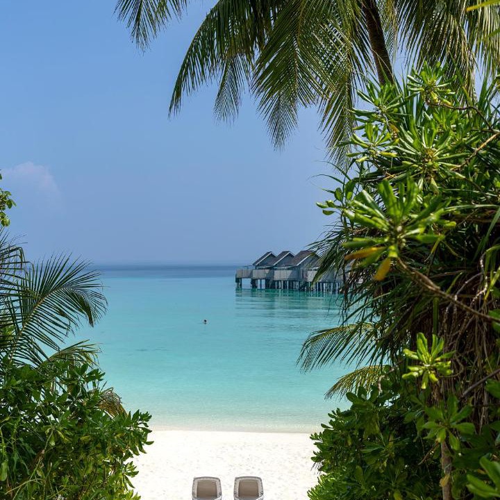 Photo of Others in Kuramathi Island