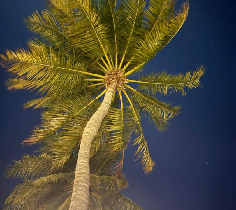 Photo of Others in Maamigili