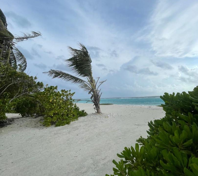 Photo of Others in Haa Dhaalu Atoll