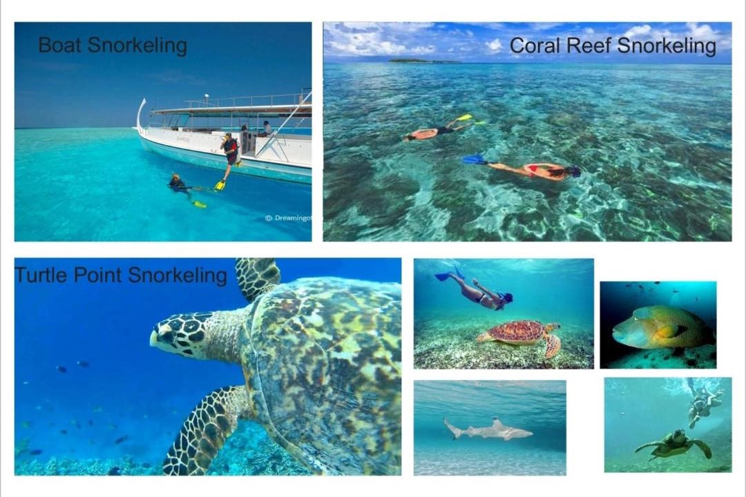 Photo of Others in Dhiffushi