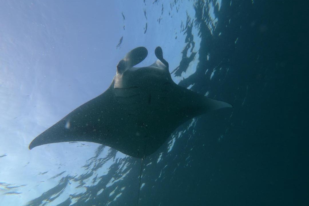 Photo of Others in Ukulhas