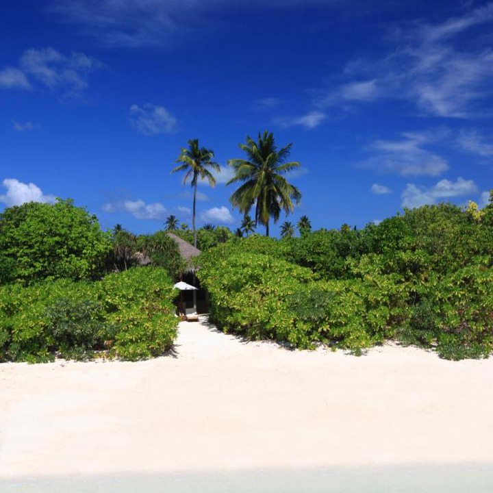 Photo of Others in Olhuveli