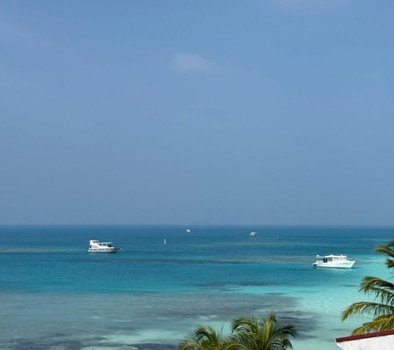 Photo of Others in Dhiffushi