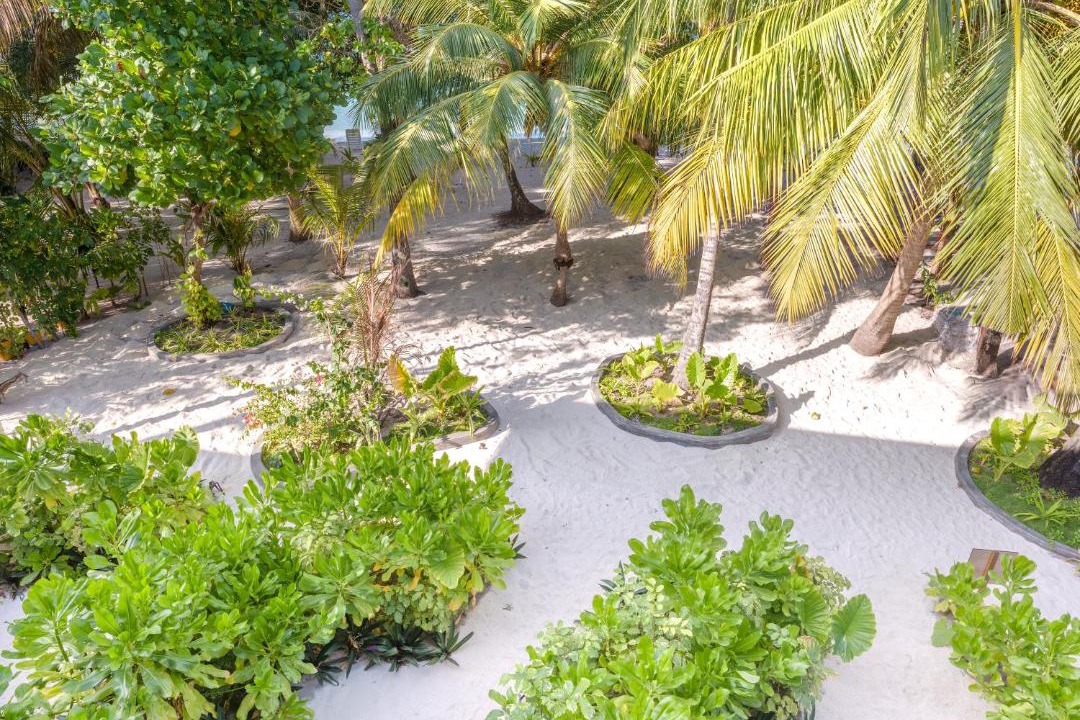 Photo of Others in Dharavandhoo