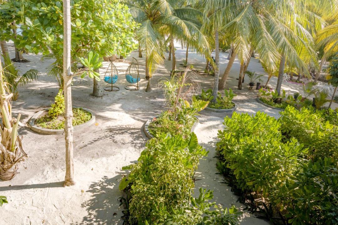 Photo of Others in Dharavandhoo