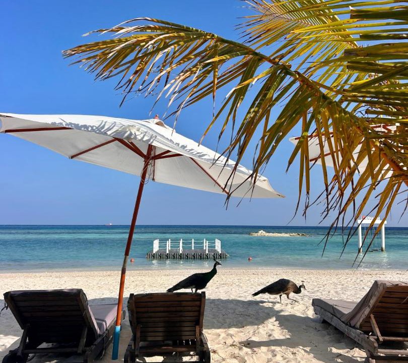 Photo of Others in Himmafushi