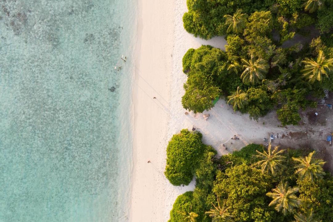 Photo of Others in Omadhoo