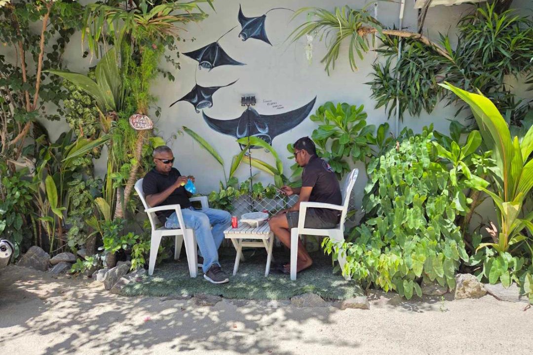 Photo of Others in Dhangethi