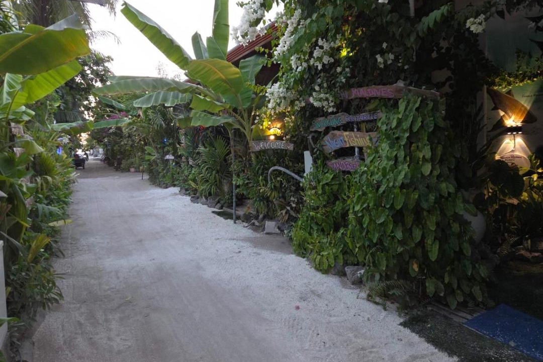 Photo of Others in Dhangethi
