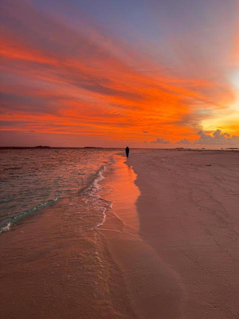 Photo of Others in Dhigurah
