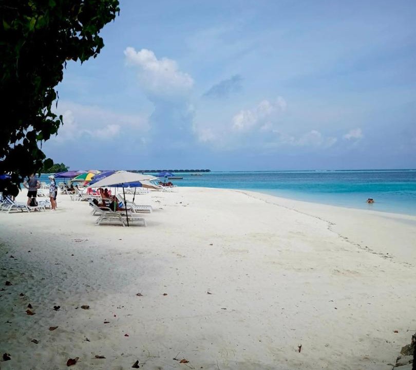 Photo of Others in Dhiffushi