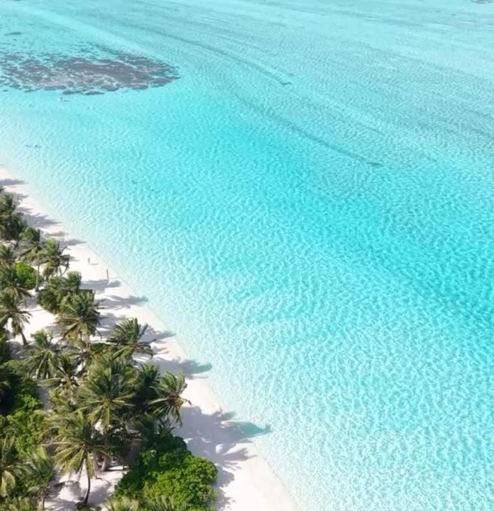 Photo of Others in Thoddoo