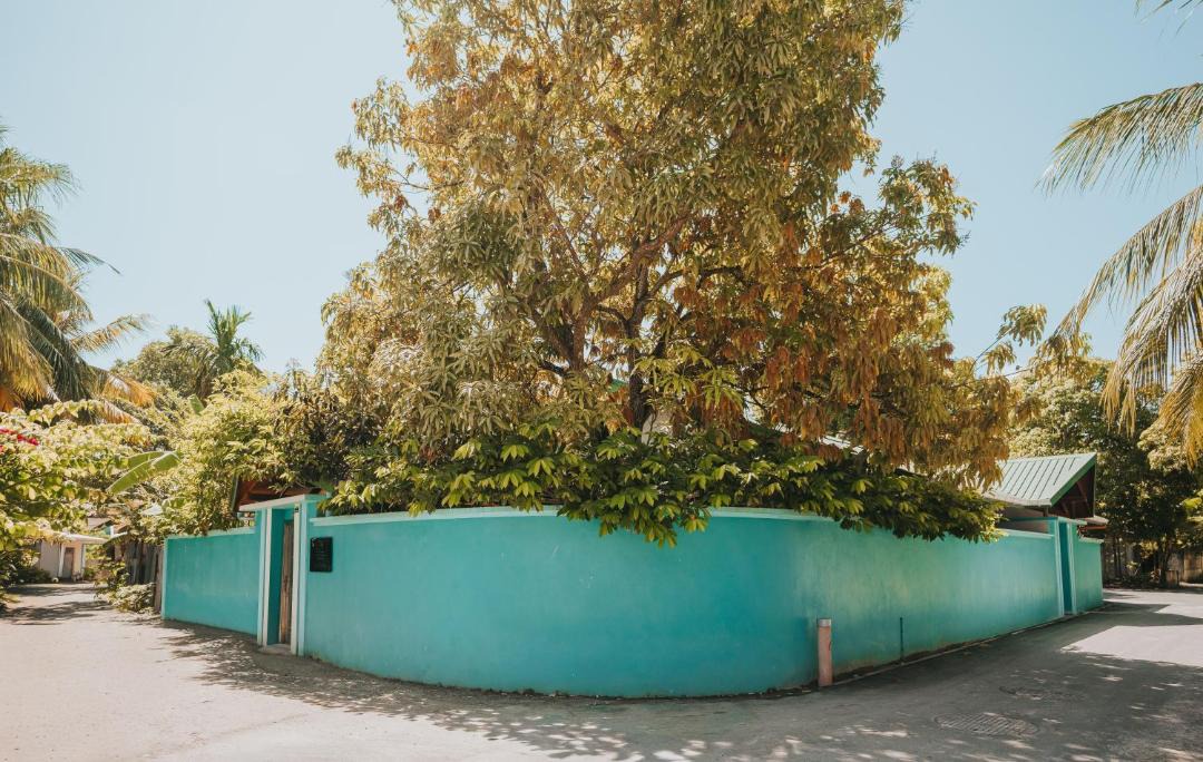 Photo of Others in Fuvahmulah
