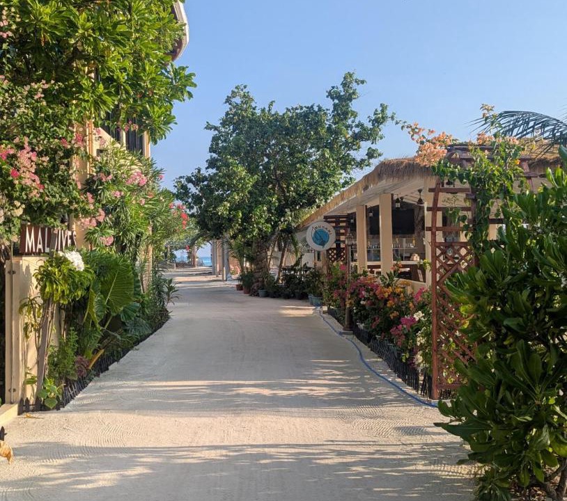 Photo of Others in Dhiffushi