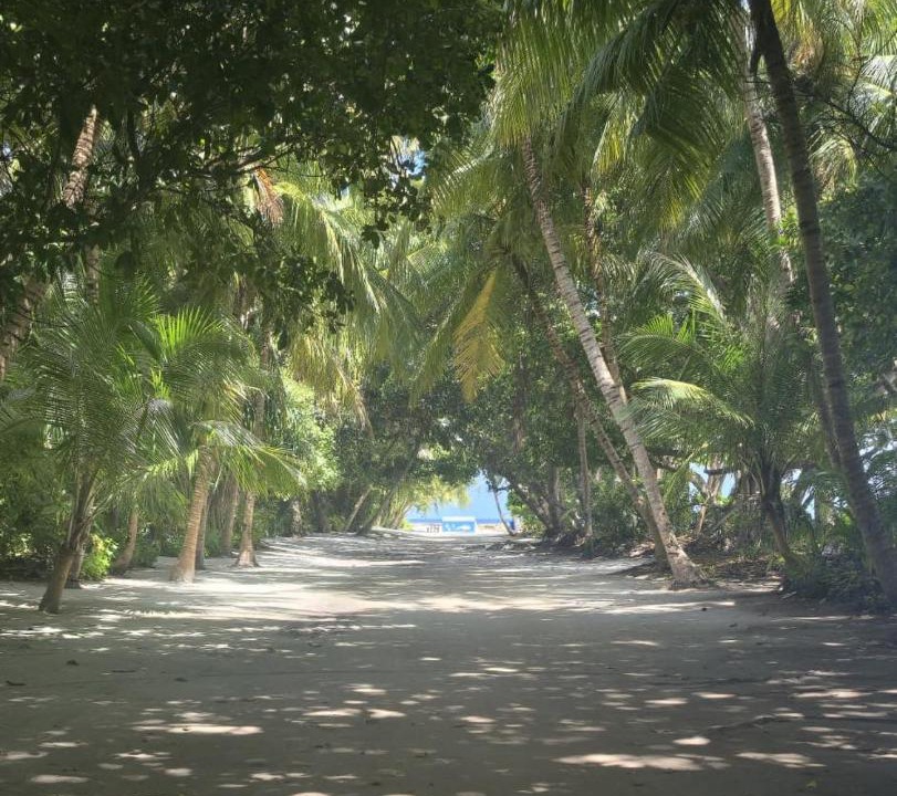 Photo of Others in Dharavandhoo