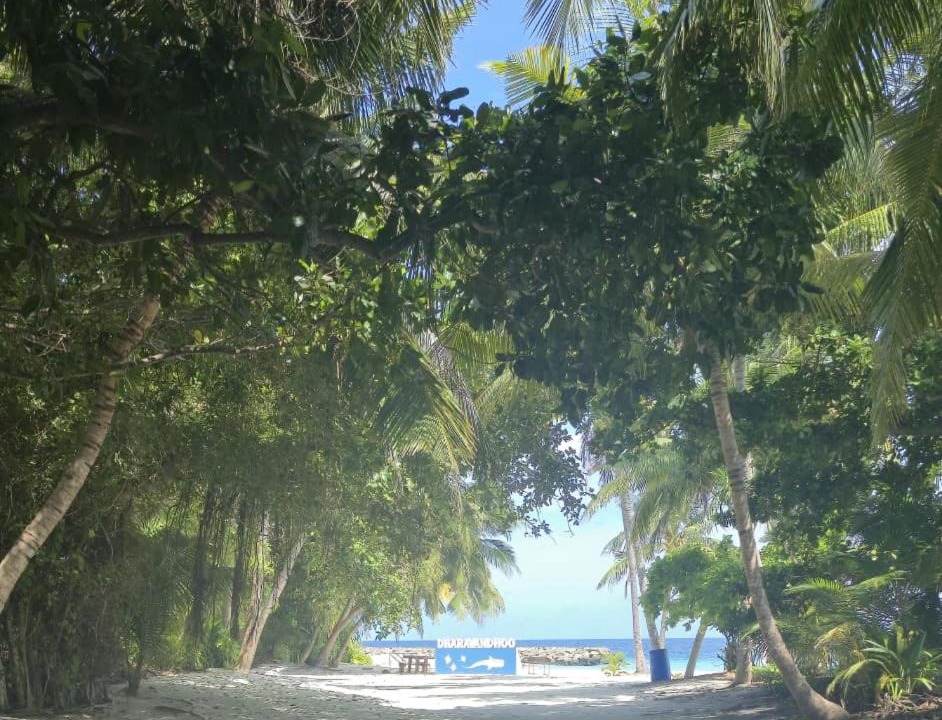 Photo of Others in Dharavandhoo