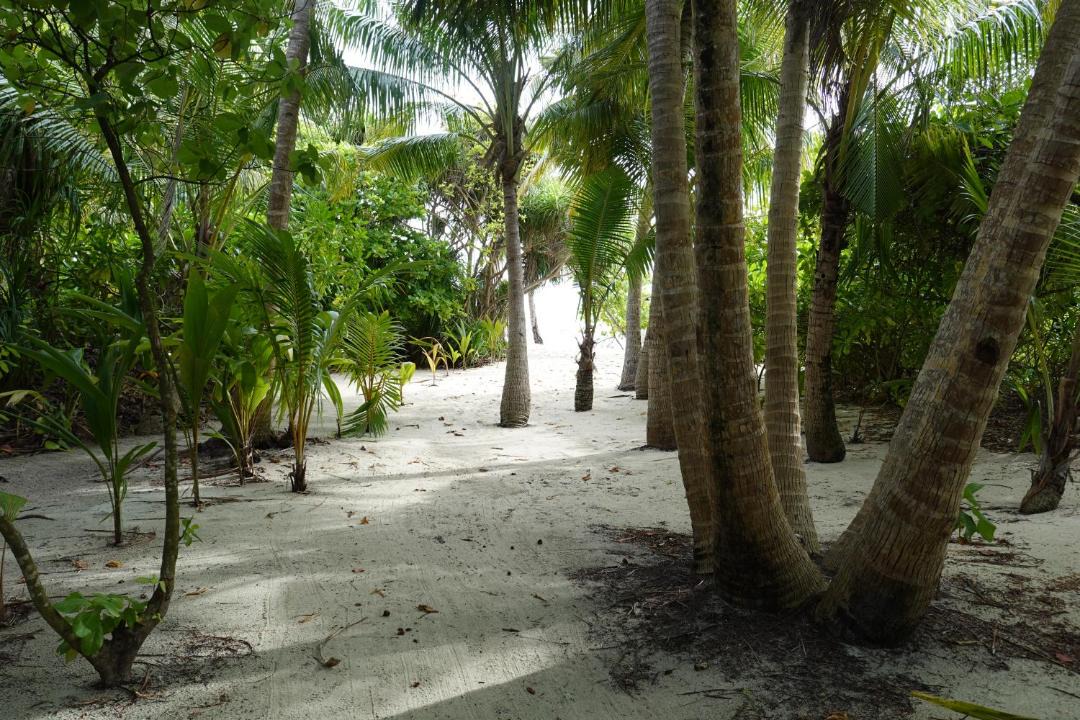 Photo of Others in Thinadhoo