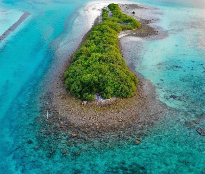 Photo of Others in Kinbidhoo
