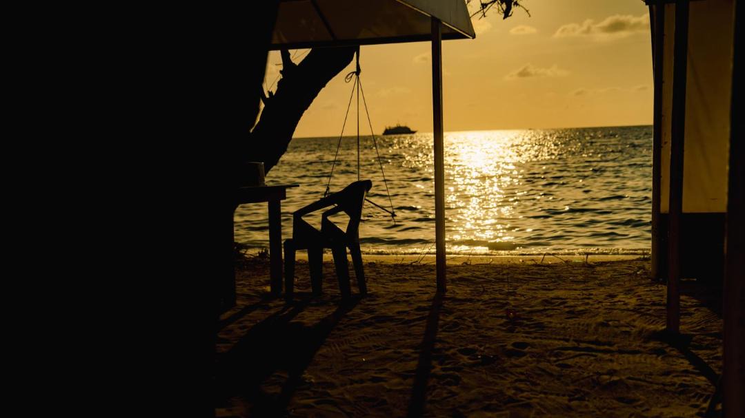 Photo of Others in Dhiffushi