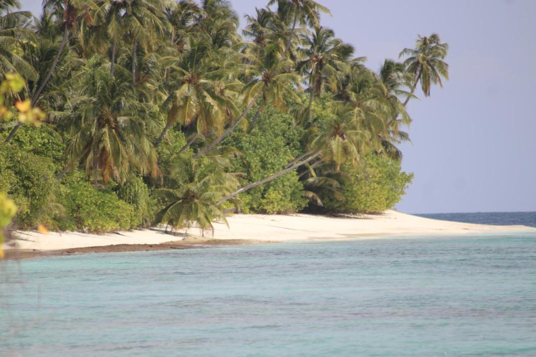 Photo of Others in Thimarafushi