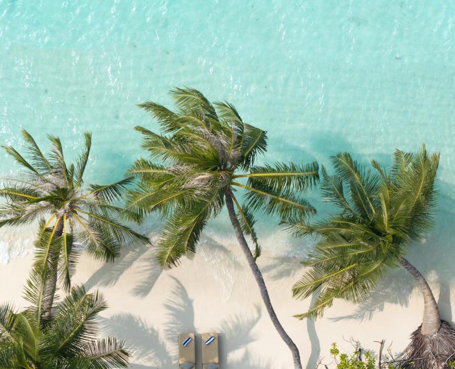 Photo of Others in Bandos Island