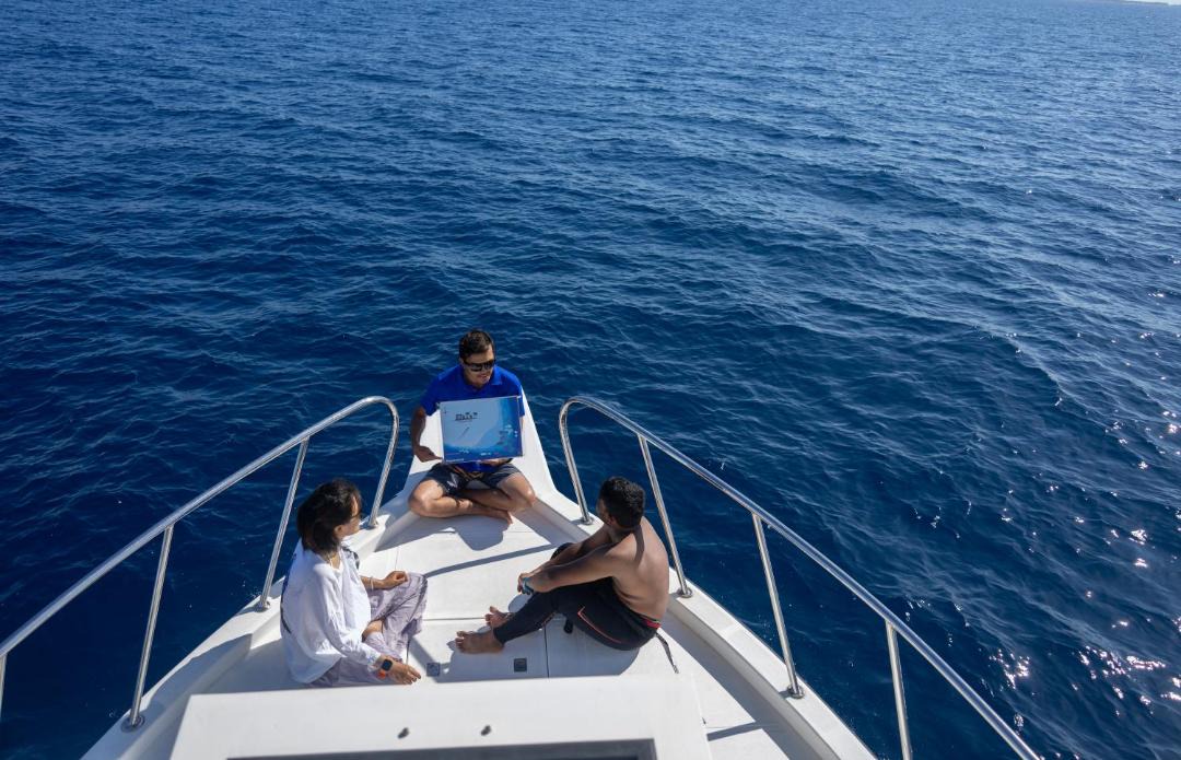 Photo of Others in Bandos Island