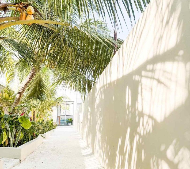 Photo of Others in Dhigurah