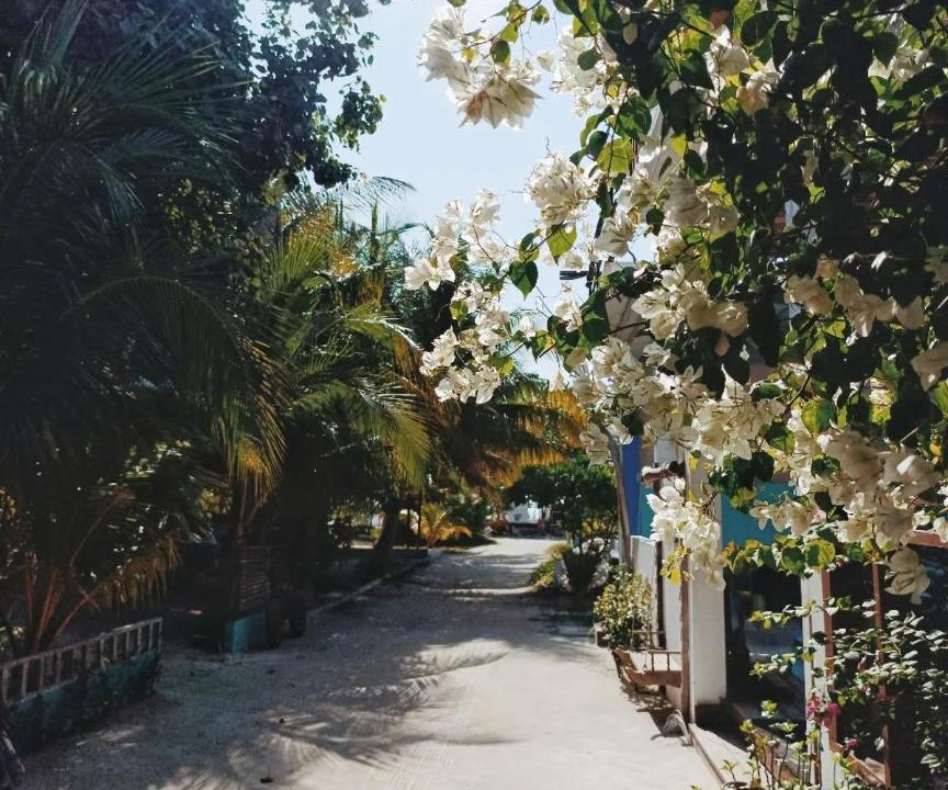 Photo of Others in Thulusdhoo Island
