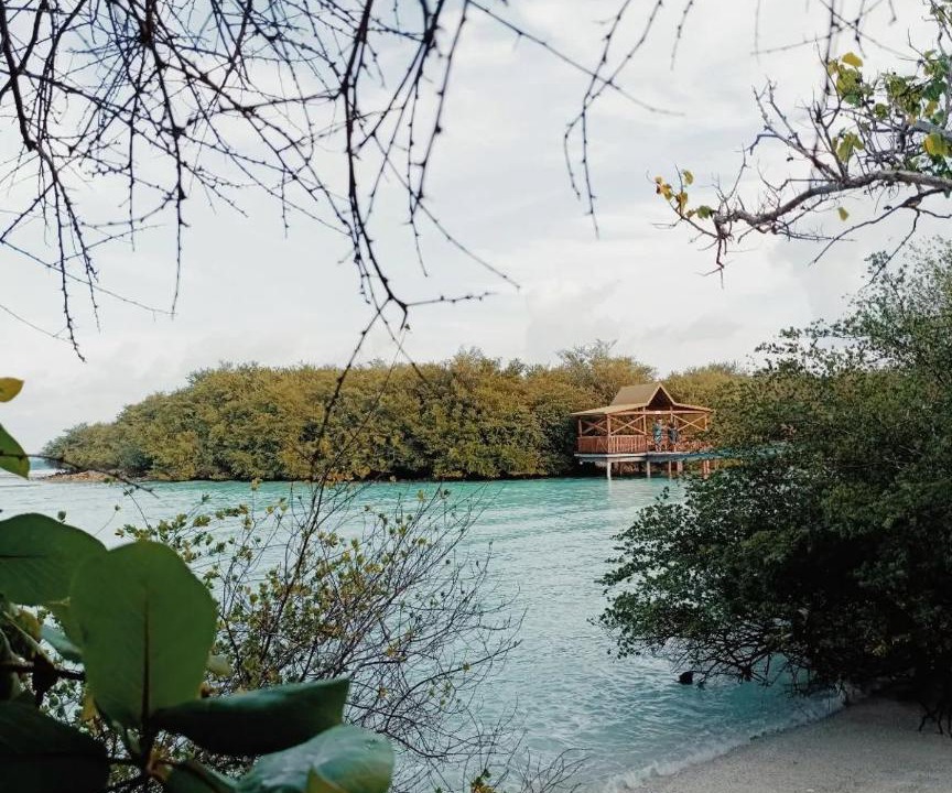 Photo of Others in Thulusdhoo Island