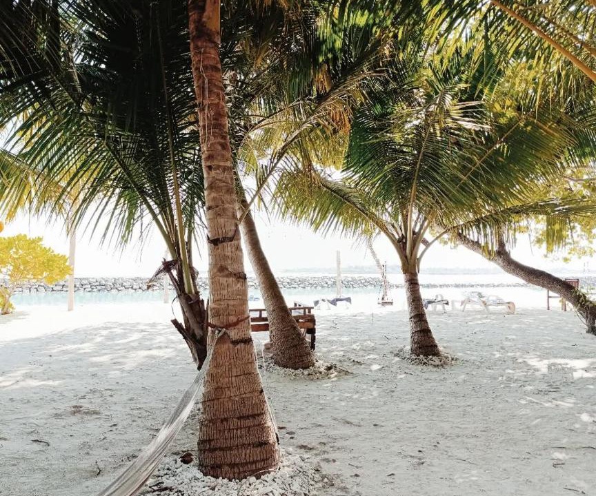 Photo of Others in Thulusdhoo Island