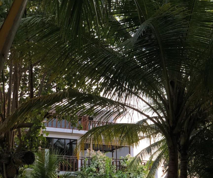 Photo of Others in Thulusdhoo Island