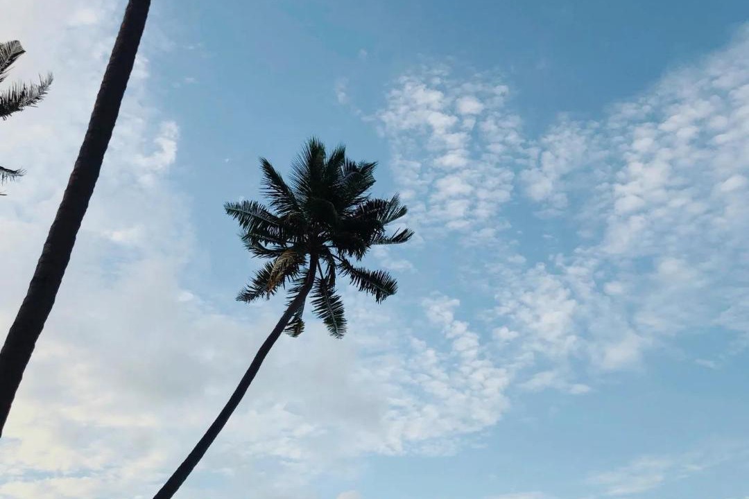 Photo of Others in Thulusdhoo Island