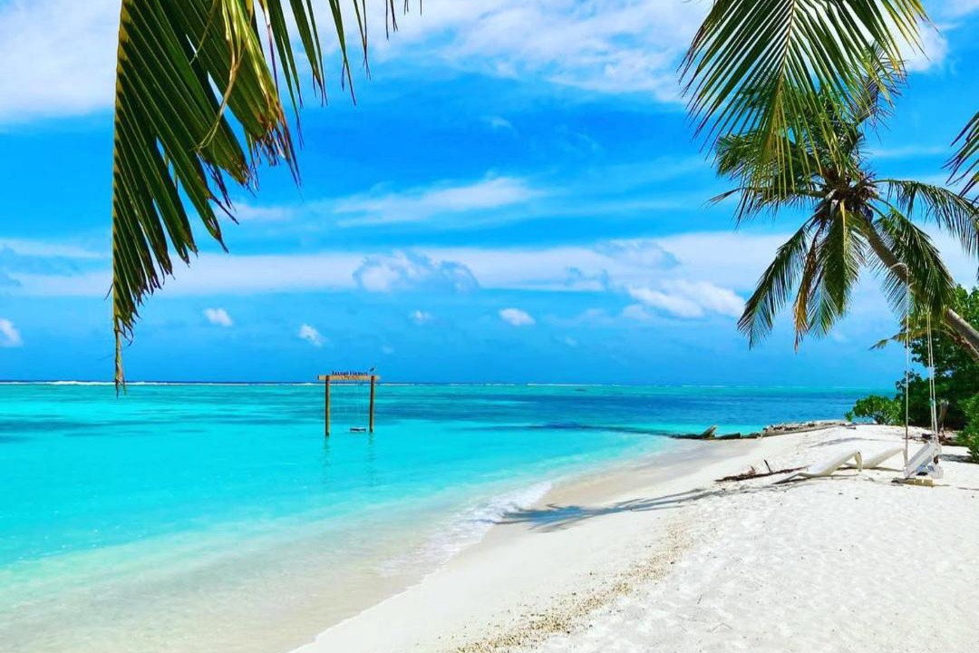 Photo of Others in Dhiffushi