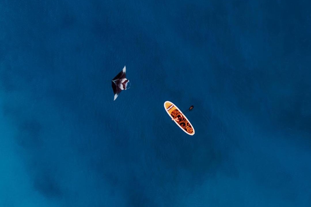 Photo of Others in Kanifinolhu Island