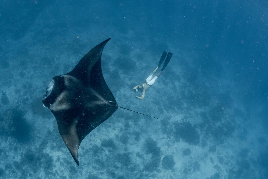 Photo of Others in Dhigurah