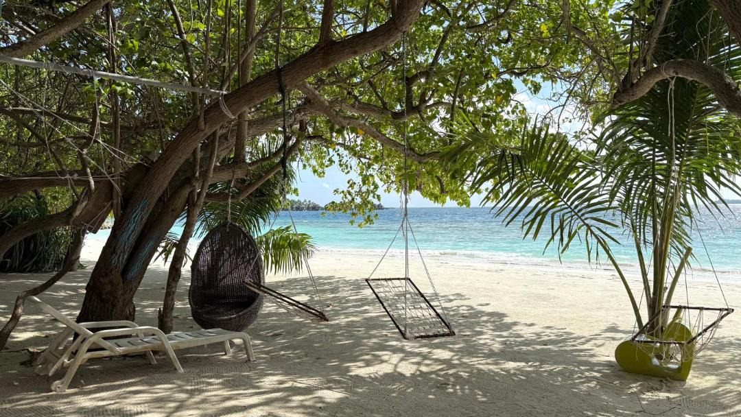 Photo of Others in Bodufolhudhoo