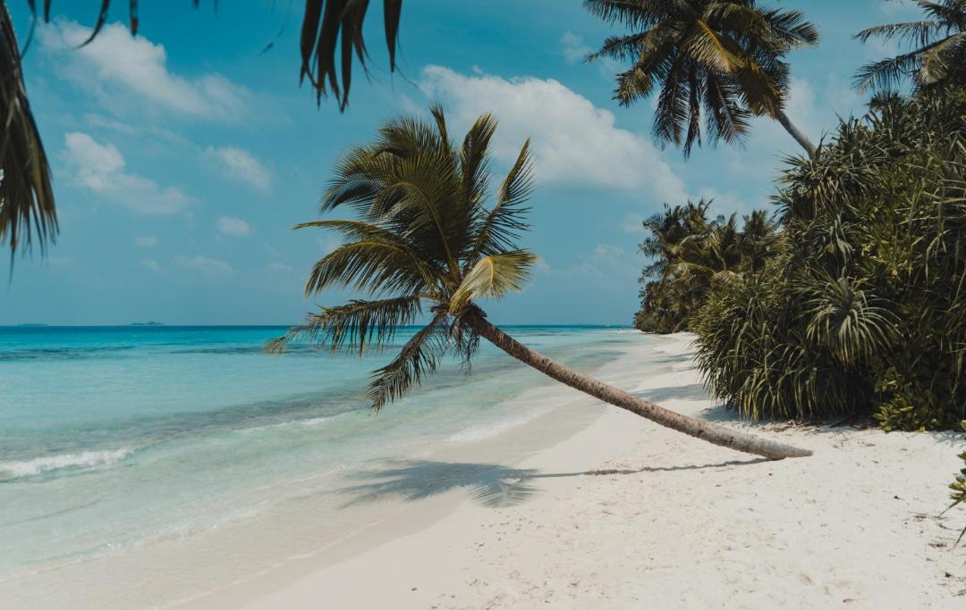 Photo of Others in Dhigurah