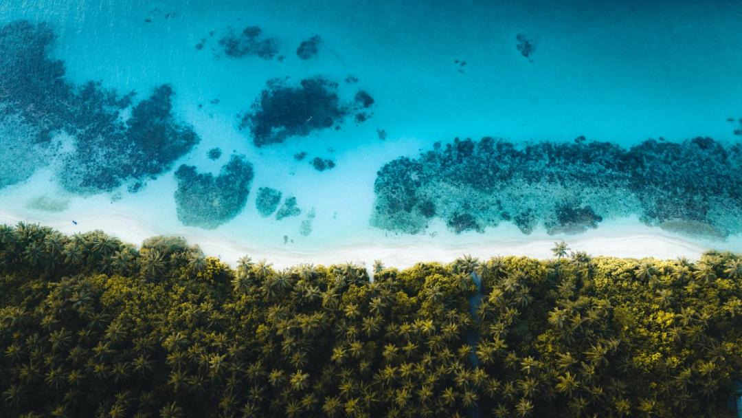 Photo of Others in Dhigurah