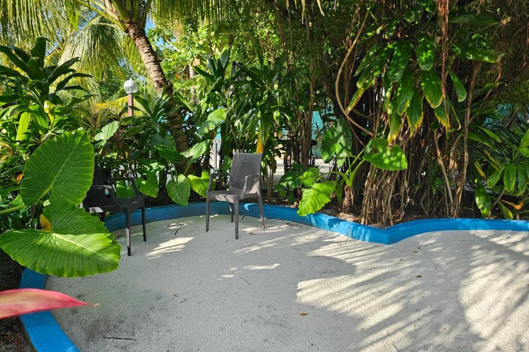 Photo of Others in Bodufolhudhoo