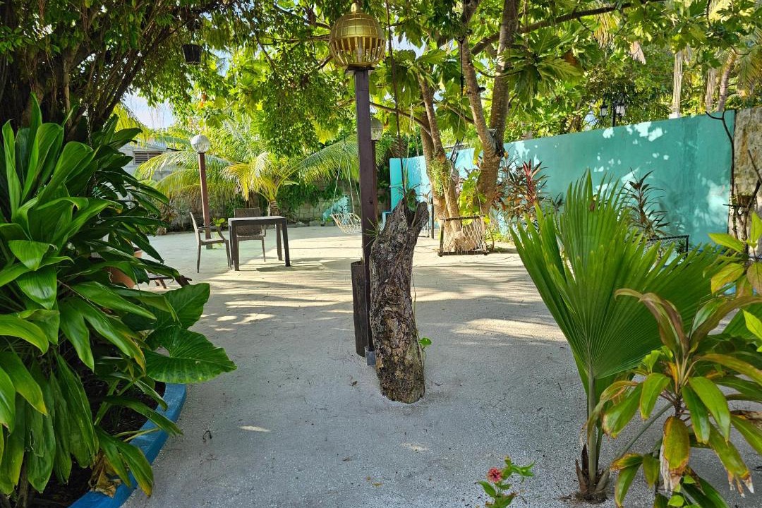 Photo of Others in Bodufolhudhoo